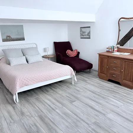 L'ours De Bis Colmar