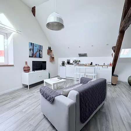 L'ours De Bis * Colmar