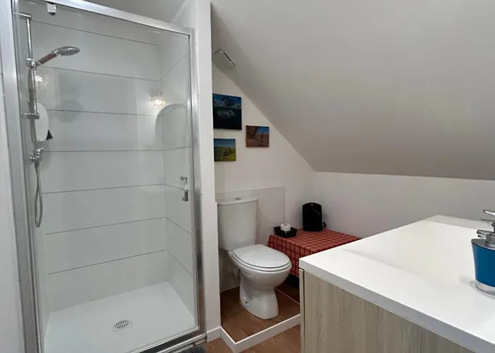 L'ours De Bis * Colmar