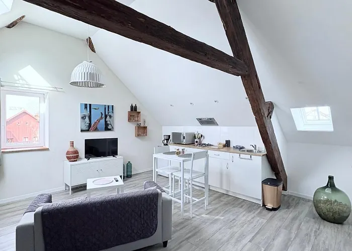 Apartamento L'ours De Bis Colmar