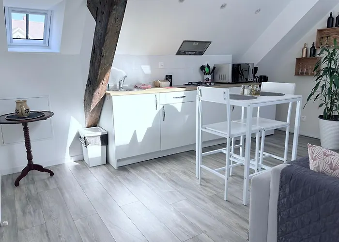 L'ours De Bis * קולמר