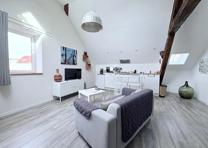 L'ours De Bis * 科尔马