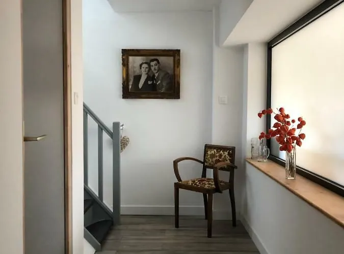 L'ours De Bis * קולמר